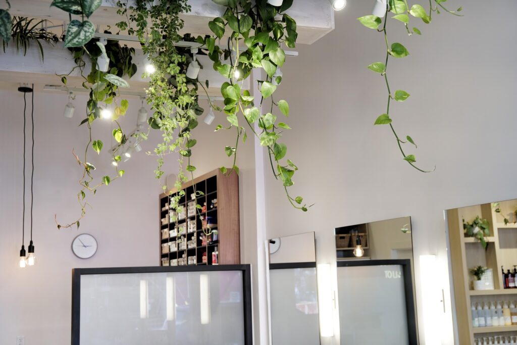 Ark and Mason - Commercial Interior Design in Vancouver