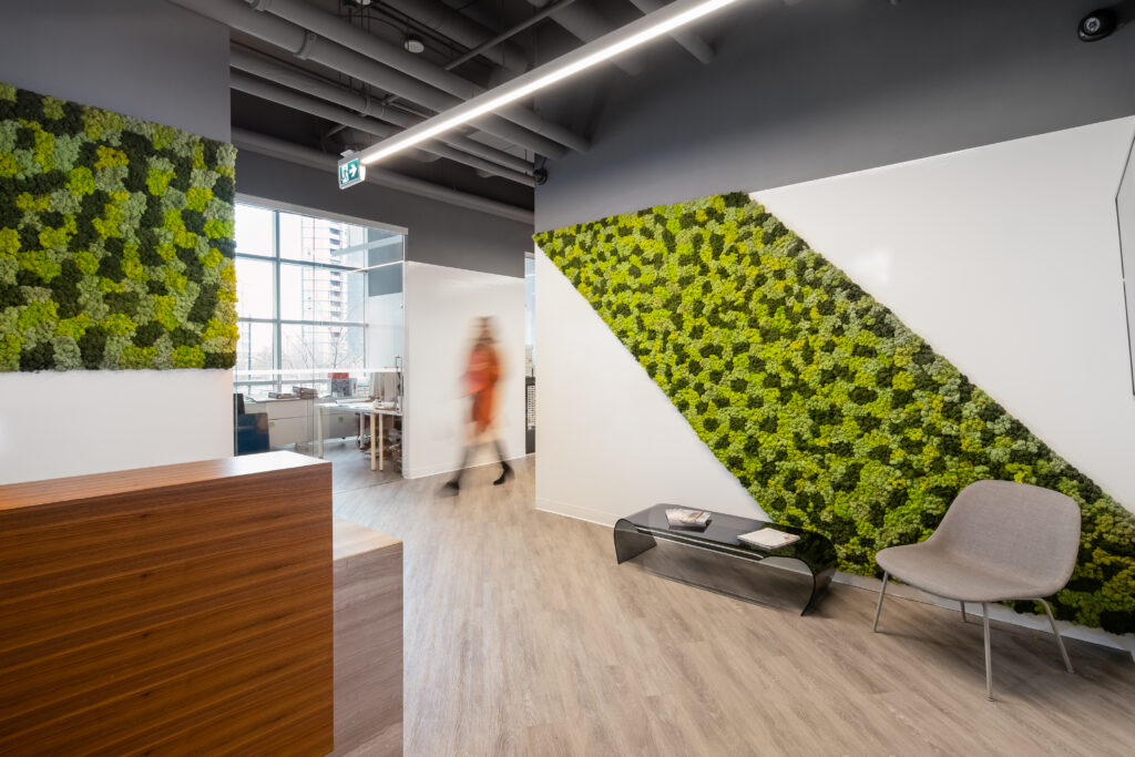 LNG Studio - Case Study - Ark and Mason